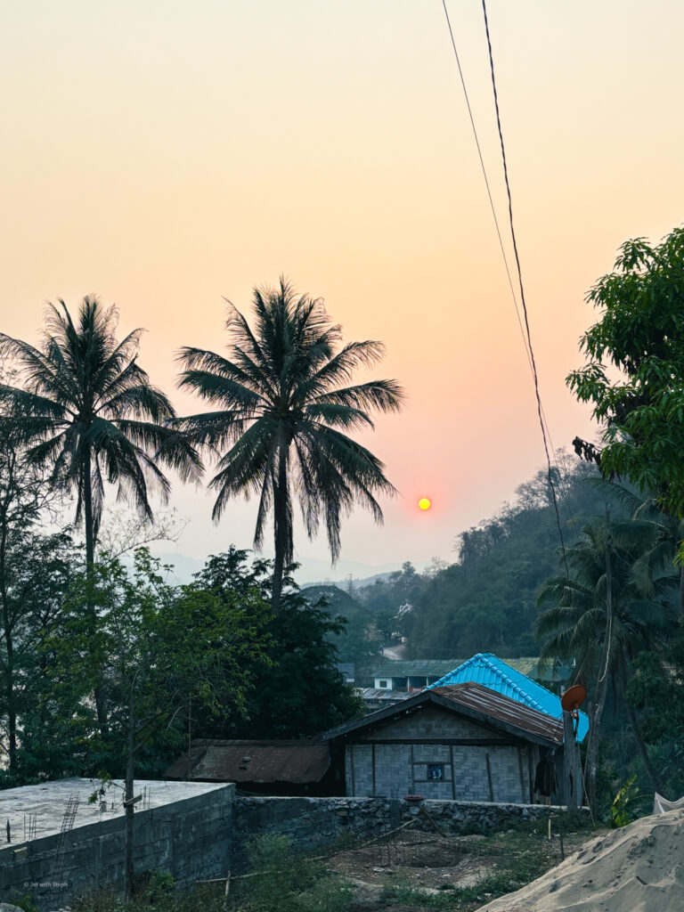 Sunset with palm trees in Pakbeng, Laos