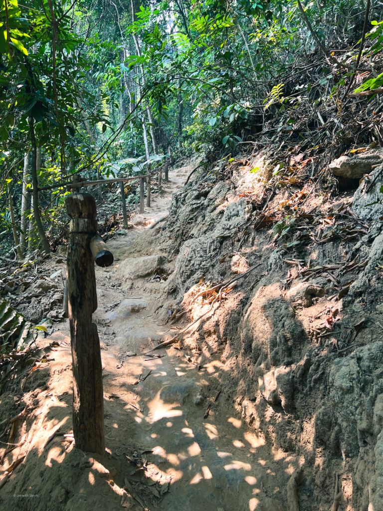 Dirt path leading up the waterfall