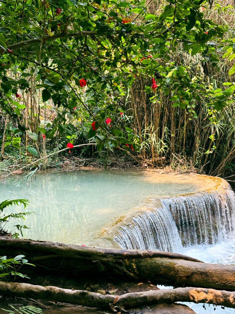 Red flowers surrounding a small cascade at Kuang Si Falls in Laos